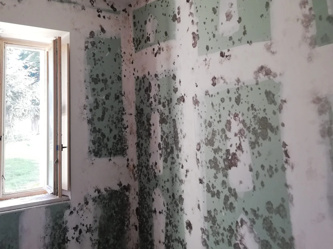 La tua parete è fredda e umida? Ecco l’unico intervento che funziona davvero per risolvere