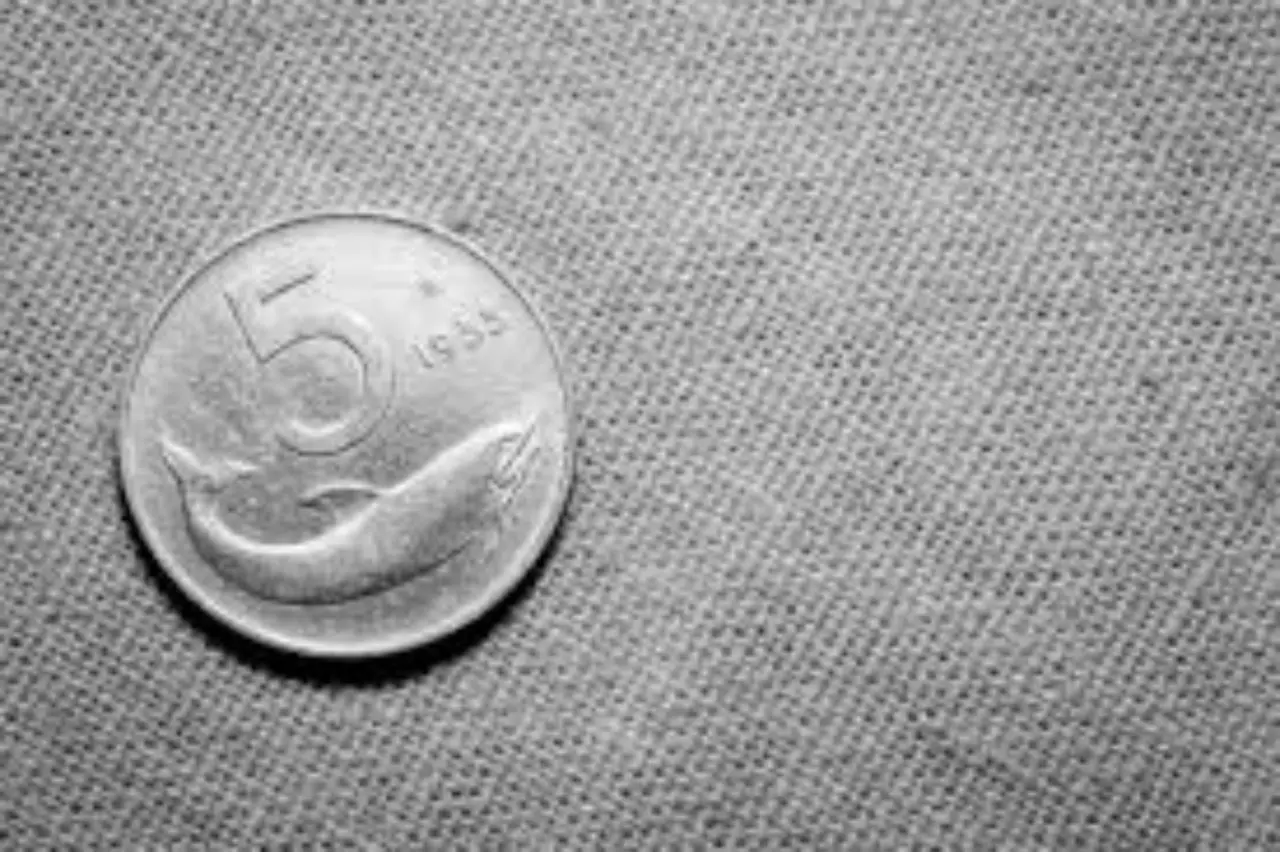 Quanto valgono le 5 lire con il delfino del 1954: ecco quanto valgono